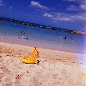 Meet your Posher, Lea